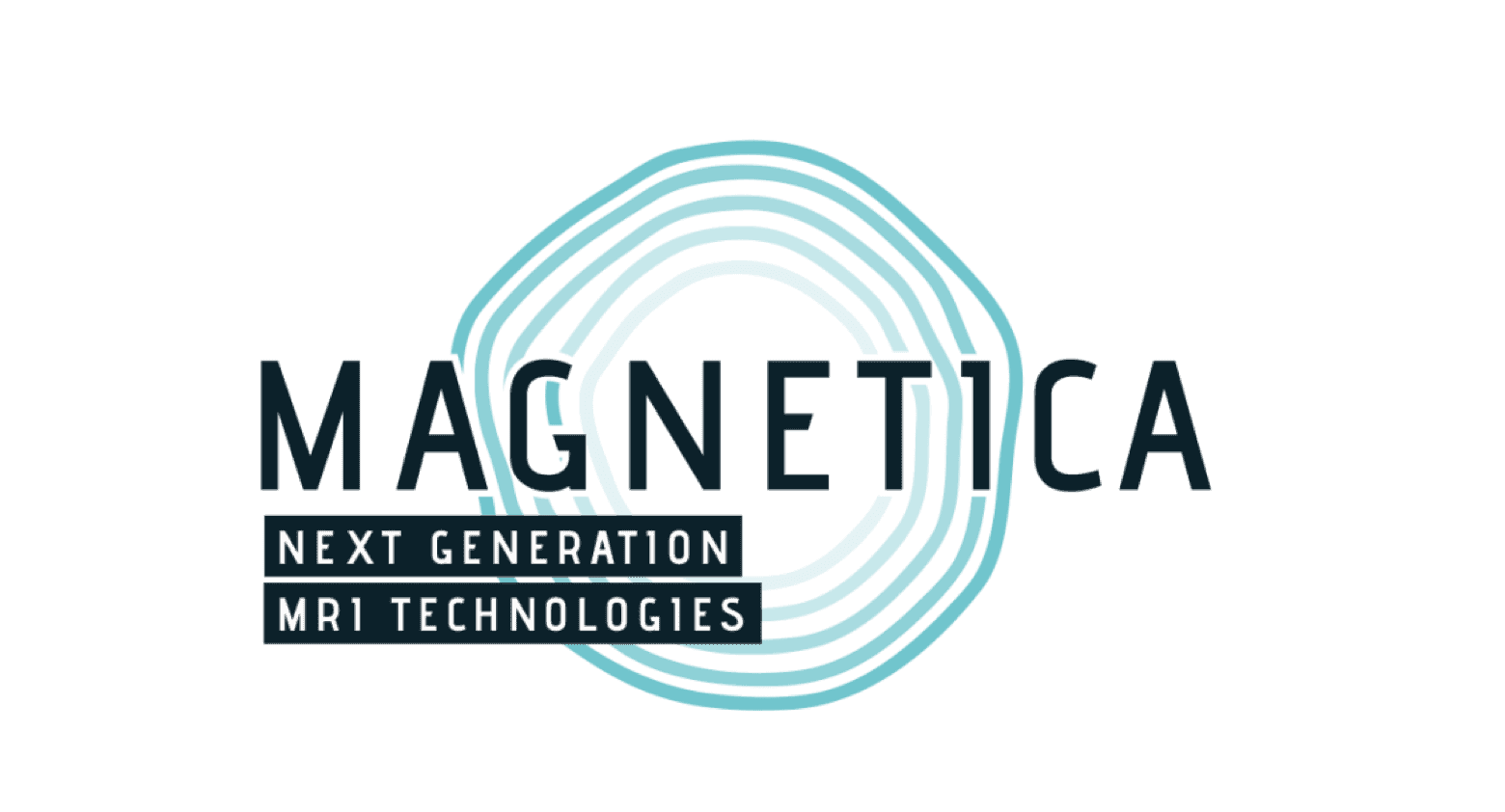 Successful Crowdfund Case Study: Magnetica